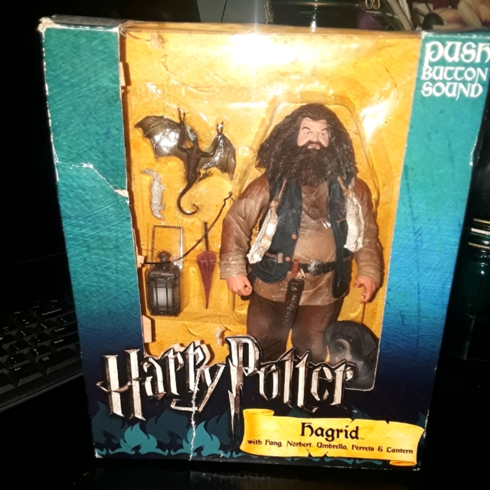 Harry Potter's  "HAGRID"